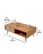 Mid-Century Modern Coffee Table