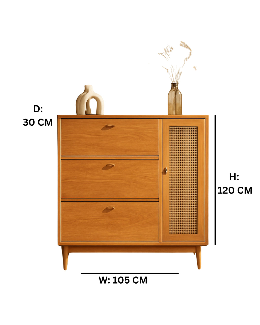 Nordic Shoe Storage Cabinet