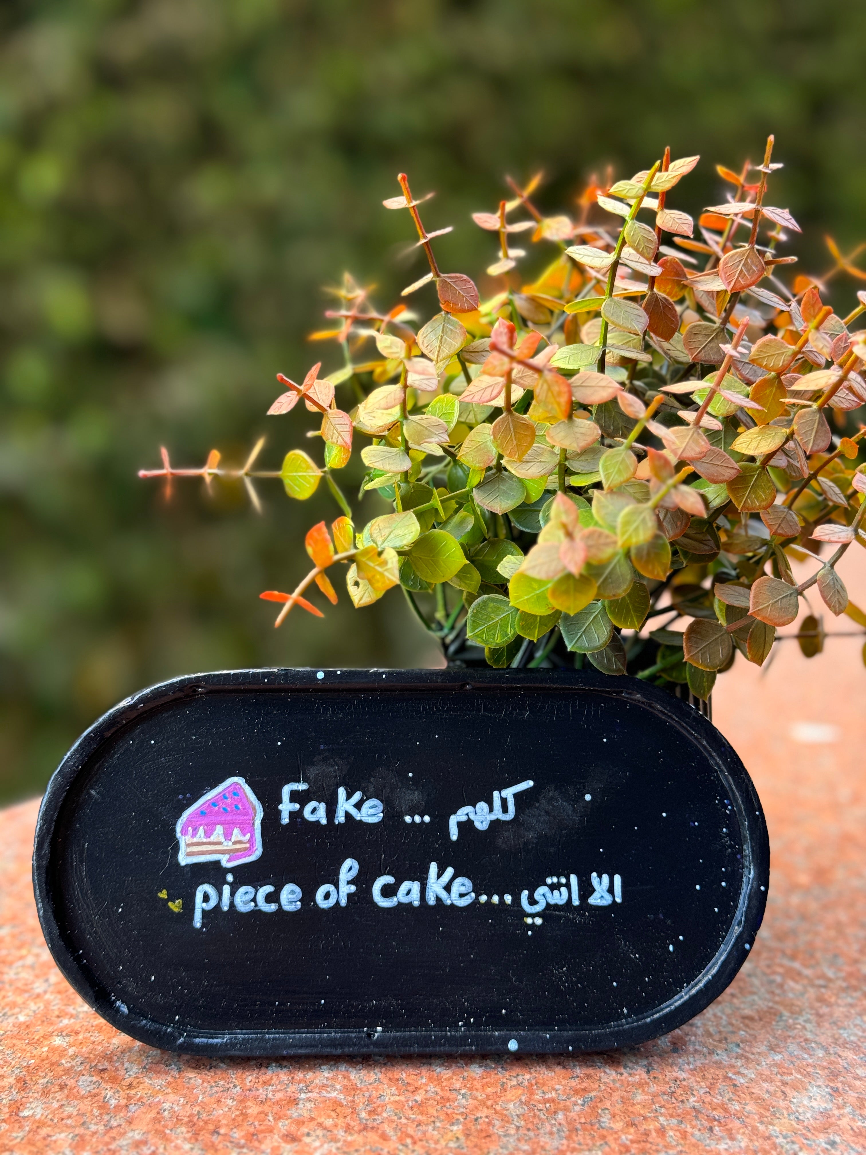 PIECE OF CAKE